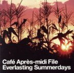 【中古】 Cafe　Apres－midi　File－Everlasting　Summerdays，Endless　Summernights－／（オムニバス）,ナチュラル・カラミティ,HIROSHI　II　HIROSHI,Sexy　T．K．O．,