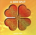 【中古】 A　SIDE　SPLIT　Vol．4～sunrise　field～／ザ・ルーズドッグス／redballoon／AJISAI／Cure　Rubbish