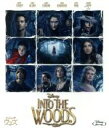 【中古】 イントゥ・ザ・ウッズ(Blu−ray Disc)/ジョニー・デップ,メリル・ストリープ,エミリー・ブラント,ロブ・マーシャル(監督、製作)