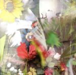 【中古】 フラワーズ／ジョン・オブ・アーク