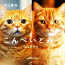 【中古】 写真集　こんぺいとみそ　花江家のねこ／花江夏樹(著者)