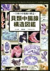 【中古】 貝類中腸腺構造図鑑 75種の中腸腺の構造／山元憲一(著者),難波憲二(著者),半田岳志(著者)