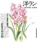 【中古】 洋ラン NHK趣味の園芸　新園芸相談5／日本放送出版協会【編】
