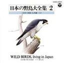 （趣味／教養）販売会社/発売会社：日本コロムビア（株）(日本コロムビア（株）)発売年月日：1995/06/21JAN：4988001222088北海道から沖縄までの日本全国の野鳥の声を地域別全5タイトルに収録した野鳥シリーズの決定盤。　（C）RS