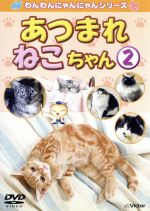 【中古】 あつまれねこちゃん　2　すてきなねこちゃんがいっぱい／（教材）