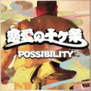 【中古】 恋愛の十ヶ条(初回生産限定盤)/POSSIBILITY