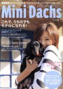 【中古】 ミニダックスクラブ ぶんか社ムック26/趣味・就職ガイド・資格