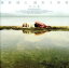 【中古】 新居昭乃BEST ALBUM 空の森/新居昭乃 1,936円