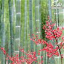 【中古】 三曲《邦楽決定盤2000シリーズ》/(オムニバス),佐藤親貴,富山清翁,松尾恵子,笠原啓子,山口五郎,森雄二