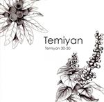 【中古】 Temiyan　30－30／Temiyan