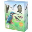 【中古】 新 野鳥図鑑 Blu−ray BOX(Blu−ray Disc)/(趣味/教養)