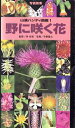 【中古】 野に咲く花 山渓ハンディ図鑑1／平野隆...