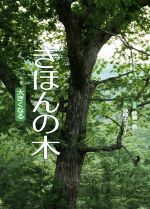 【中古】 きほんの木　大きくなる／姉崎エミリー(著者),姉崎一馬