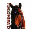 【中古】 VIDEO馬劇場 テイエムオペラオー パーフェクトゲーム 2000/(競馬)