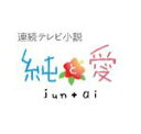 【中古】 連続テレビ小説 純と 愛総集編／夏菜,風間俊介,武田鉄矢,荻野清子（音楽）