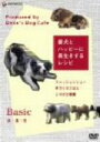 【中古】 愛犬とハッピーに長生きするレシピ 衣・食・住/(趣味/教養)