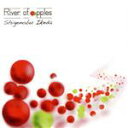 【中古】 River of apples/池田成伸(ds)