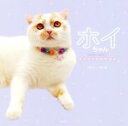 【中古】 ホイちゃん hoippu cream PHOTOBOOK/ホイ主(著者)