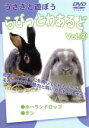 【中古】 らびっとわあるど Vol.2/不明