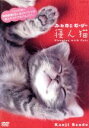【中古】 ふわねこむーびー第1弾!「寝ん猫」/ドキュメント・バラエティ