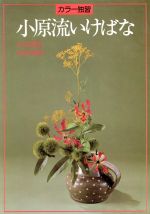 【中古】The　flowers フラワ-デザインの世界 /クレオ/マミア-トメディア（単行本）