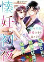【中古】 懐妊初夜 一途な社長は求愛の手を緩めない ベリーズ文庫/兎山もなか(著者)