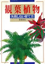 【中古】 観葉植物 失敗しない育て