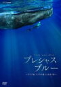 【中古】 プレシャス・ブルー カリブ海・クジラの親子と出会う旅/(趣味/教養),二木あい