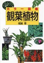 Botany - 【中古】 カラー図鑑　観葉植物／尾崎章(著者)