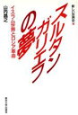 【中古】 スルタンガリエフの夢 イスラム世界とロシア革命 新しい世界史2/山内昌之(著者)