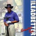 【中古】 レッドベターのパーフェクト・ゴルフ・レッスン/デヴィッド・レッドベター