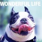 【中古】 WONDERFUL LIFE（豪華盤）（DVD付）／X．Y．Z．→A