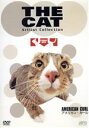 【中古】 THE CAT アメリカン・カール/(趣味/教養)