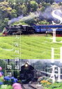 【中古】 SL日和 大井川鐵道物語/ドキュメント・バラエティ