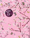 【中古】 宮〜Love in Palace BOX I(Blu−ray Disc)/ユン・ウネ,チュ・ジフン,ソン・ジヒョ,パク・ソヒ(原作),2番...