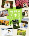 【中古】 柴犬まるの四季めぐり/リベラル社(編者),小野慎二郎