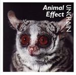 【中古】 Animal　Effect／UNCHAIN