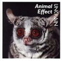【中古】 Animal Effect／UNCHAIN