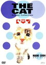 【中古】 THE CAT メイン・クーン/(趣味/教養)