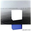 【中古】 イデアの水槽（期間限定特別価格盤）／GRAPEVINE