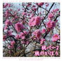 【中古】 ウェブラジオ 桃のきもち・パーフェクトCD 桃パー2・桃のかほり/保村真/吉野裕行,吉野裕行,保村真