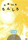 【中古】 台風14号　もんしろ／大河元気,桐山漣,佐藤美貴