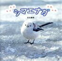 【中古】 写真集 シマエナガ もふもふ ふわふわ/吉永勝啓(著者)