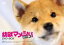 【中古】 ドラマ 幼獣マメシバ 望郷篇 DVD−BOX/佐藤二朗,菊池亜希子,左とん平 6,050円