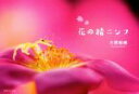【中古】 写真集 花の精ニンフ/大貫朝義(著者)