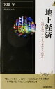 【中古】 地下経済 この国を動かしている本当のカネの流れ 青春新書INTELLIGENCE/宮崎学(著者)