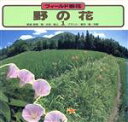 大場達之(著者)販売会社/発売会社：山と渓谷社発売年月日：1982/04/01JAN：9784635020114