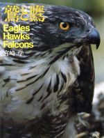 【中古】 鷲と鷹／宮崎学(著者)