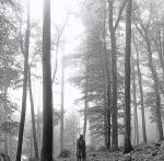 【中古】 フォークロア −スペシャル・エディション(初回限定盤)(DVD付)/テイラー・スウィフト