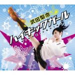 【中古】 ハイキックガール／武田梨奈(2)